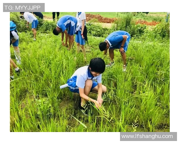 深度对话：杨丽如何在DOTA2世界中追寻梦想与成长