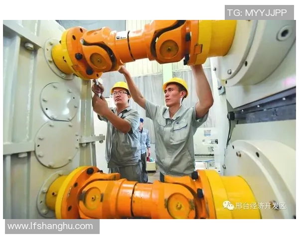 广州篮球队的灵活性探讨与战术创新之路