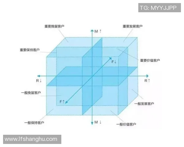 深入分析杭州羽毛球队的运营策略与发展模式探讨